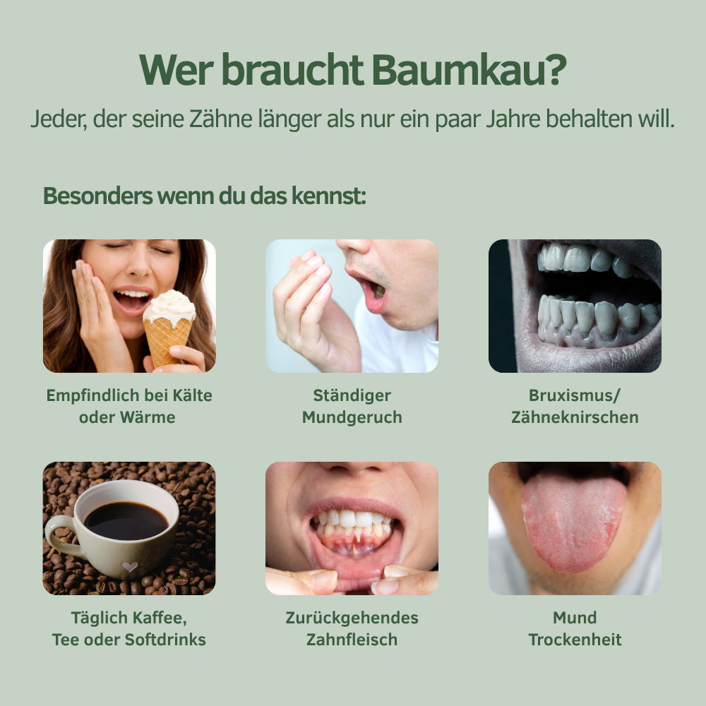 Frische Minze
